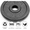 cn-11134207-7ras8-mdvg7dt9pkig4a Cast Iron Weight Plate 1250g